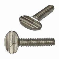 3/8"-16 X 2" Thumb Screw, Type B or Type P (No Shoulder), 18-8 Stainless